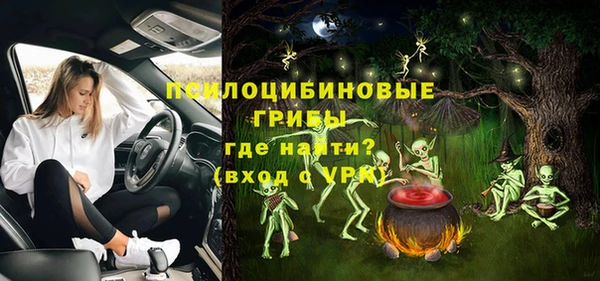 apvp Володарск