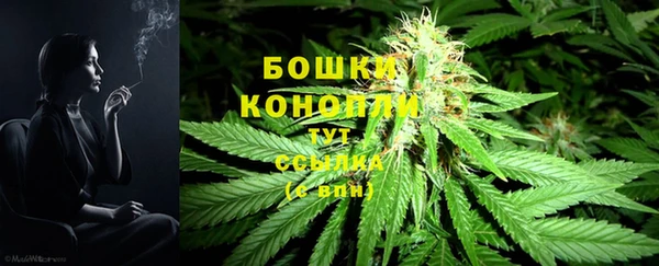 амф Верея