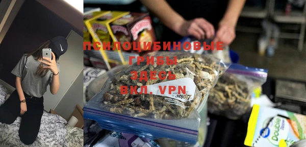 apvp Володарск