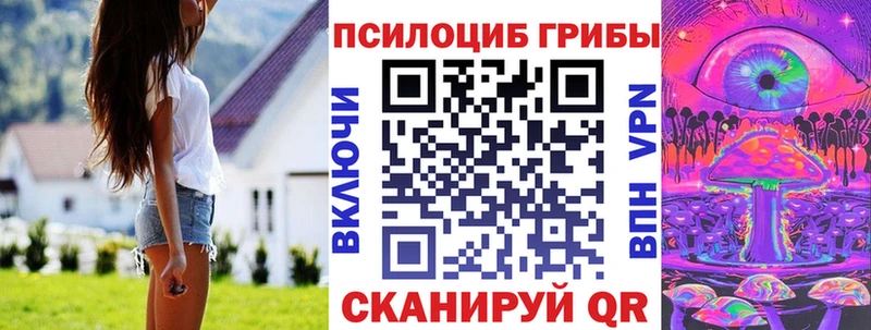 где купить наркоту  Избербаш  omg ССЫЛКА  Псилоцибиновые грибы GOLDEN TEACHER 