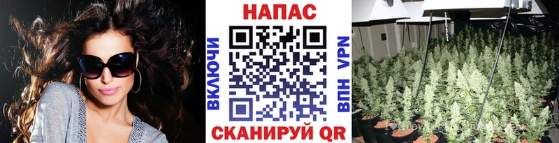 Марихуана конопля  Избербаш 